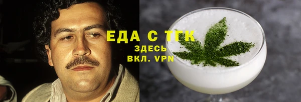 индика Мегион