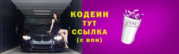 индика Мегион